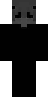 Передняя часть скина игрока zTwix