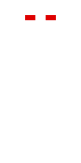 Передняя часть скина игрока zaebasheRRR