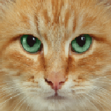 head