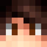 hup1s background