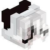 7qd