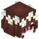 Abosut