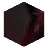 Andrey_Show1