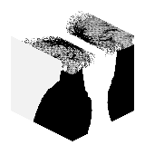 Apacora