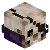 B_Skelet_p