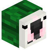 CHris55YT