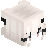 Cansuu