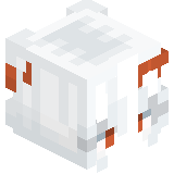 Collniffko100