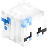 CopyrightCekcu
