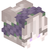 Dash_ok19