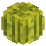 DenVZO