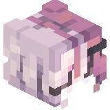 Doctor_Cat