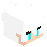 Droni4ka