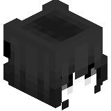 Euthanasia