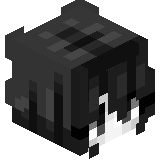 ExoDevo4ka