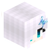 FLESHpro11