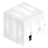 Flowl1sDuo