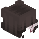 Ganazhenko1