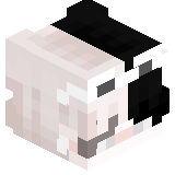 Holy_Panda