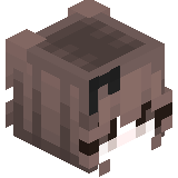IUPIR