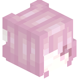 ImCemp