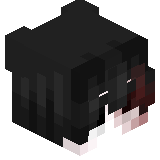 ImSw1zy