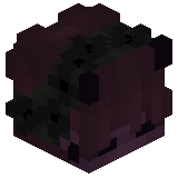 Insxrance_