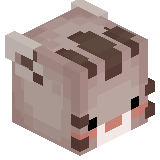 Jlopq