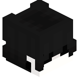 KOLA_MBUS
