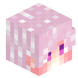 KOTAPA_MOTARA