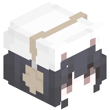 Katsugawa