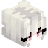 Kuanexxx