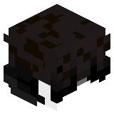 LOTOSOP