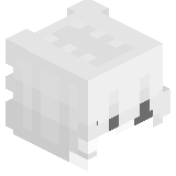 Lenzi_Top