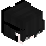 Lokki_X