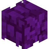 Ls_Laxer