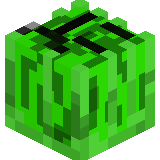 MishaVSC_YT