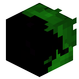 MrKotikYouTube