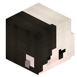 MrKotoB