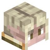 MrNeznayka
