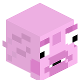 MsNoob