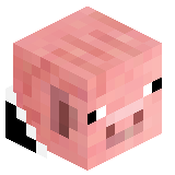 NEF0R1