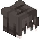N_a_V_e_R