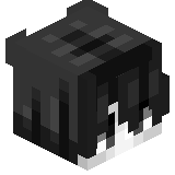 Nikywa03