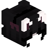 PaRaDoX11