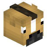 PoJIRaTel_kOnEI