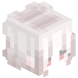 PolliXolli