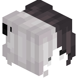 Pro_Game_Xomek