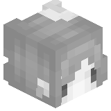 Pxntom