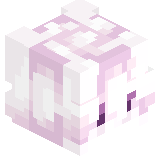 RaFLet
